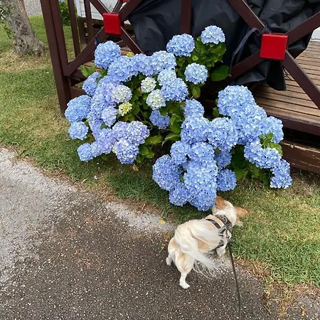 Appartamento Cloud Nine Pataias