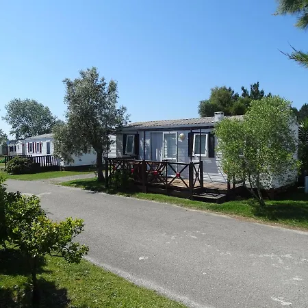 Cloud Nine * Pataias