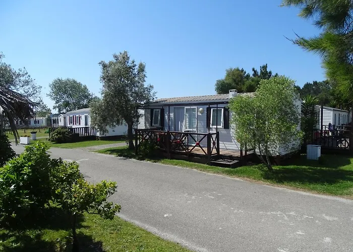 Cloud Nine * 帕塔亚什